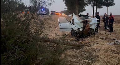 Şanlıurfa'da otomobil ağaca çarptı: 4 yaralı