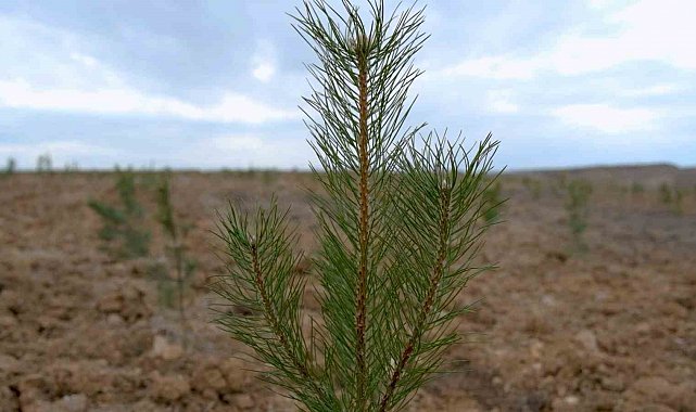 Şehir peyzajlarına Bakanlık standardı geliyor