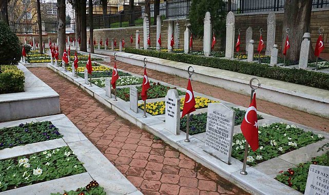 Şehitlikte çiçekler açtı