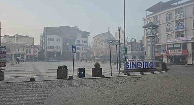 Sındırgı'da yoğun sis etkili oluyor