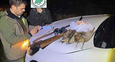 Sinop'ta kaçak avcılığa geçit yok