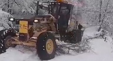 Sinop'ta karla mücadele