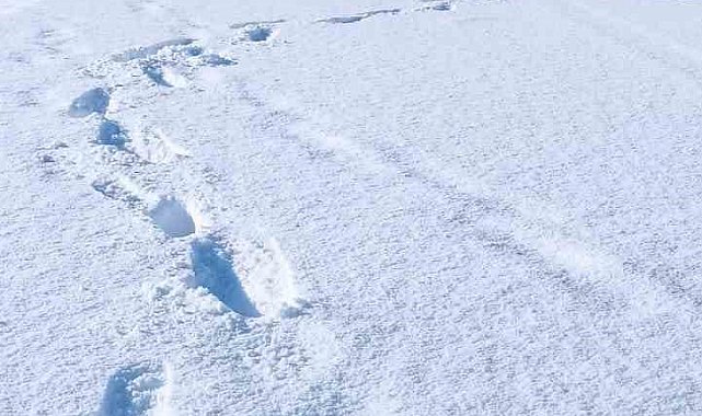 Şırnak'ta 19 köy yolu ulaşıma kapandı