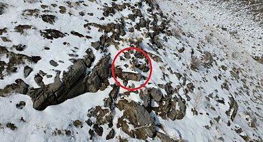 Şırnak'ta karda yiyecek arayan tilki dron ile görüntülendi