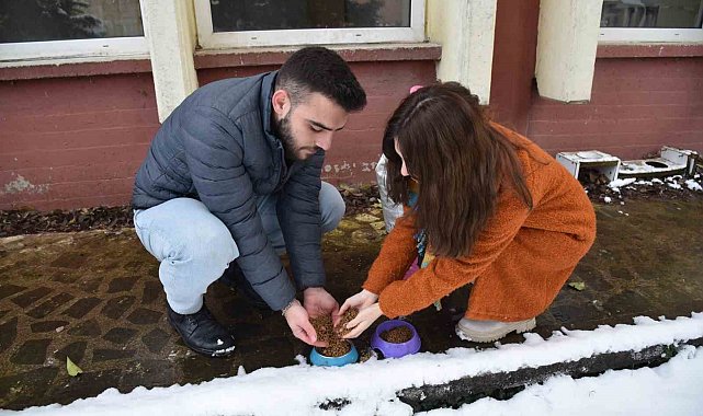 Soğuk havalarda sokak hayvanlarına OMÜ'den sıcak yardım