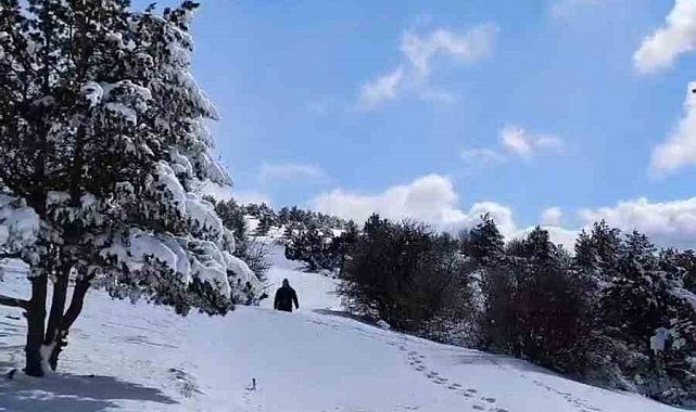 Soğuk kış aylarında Elmadağ esnafı yabani hayvanları unutmadı