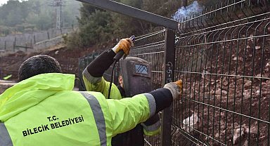 Sokak hayvanları doğal yaşam alanında çalışmalar devam ediyor