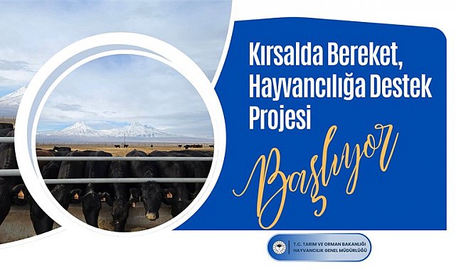 Tarım ve Orman Bakanlığından hayvan yetiştiricilerine gebe düve desteği