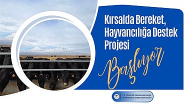 Tarım ve Orman Bakanlığından hayvan yetiştiricilerine gebe düve desteği