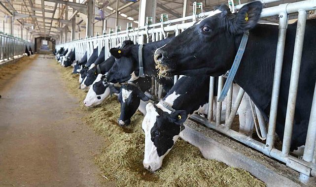 Tarım ve Orman İl Müdürlüğü'nden üreticilere proje çağrısı