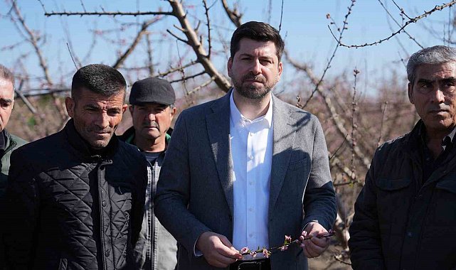 Tarsus'ta dondan zarar gören bölgelerin afet bölgesi ilan edilmesi talebi