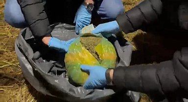 Tavuk kümesinde 13 paket uyuşturucu ele geçirildi