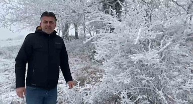 Tekirdağ'da ilginç doğa görüntüsü: Bir yanda bahar, bir yanda kış