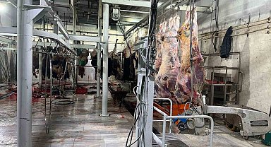 Tekirdağ'da kaçak kesime 105 bin TL ceza