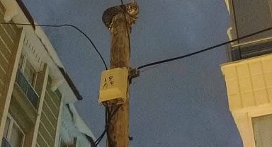 Telefon direğine çıkan kedi direk üstünde mahsur kaldı