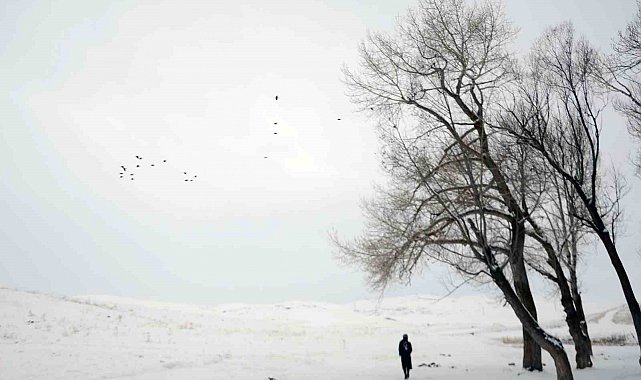 Termometreler Erzurum Tekman'da -25.2, Muğla Fethiye'de 15.3'ü gösterdi