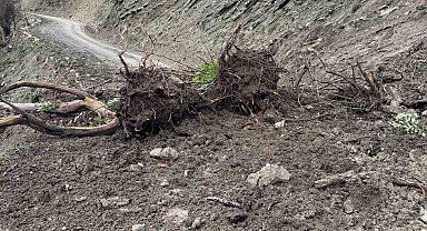 Türkeli'de toprak kayması: Bir köy yolu ulaşıma kapandı