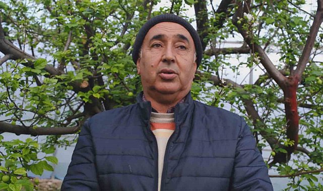 Türkiye'de en erken erik hasadının yapıldığı Mersin, seralarıyla ihracat talebine yetişemiyor