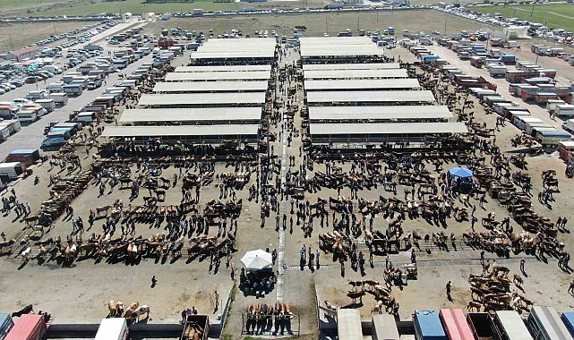 Türkiye'nin en büyük hayvan pazarı şap nedeniyle kapatıldı