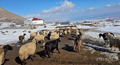 Türkiye'nin en yüksek rakımlı köyü Kışkılı, dron görüntüleriyle hayran bıraktı