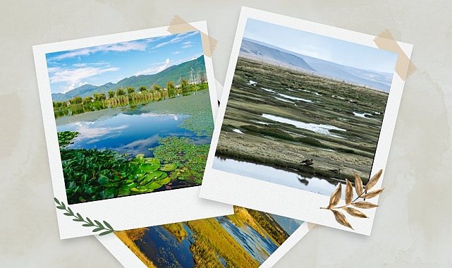 TVHB'den Dünya Sulak Alanlar Günü'ne ilişkin açıklama