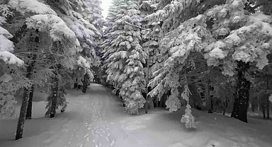 Uludağ'da kartpostallık görüntüler