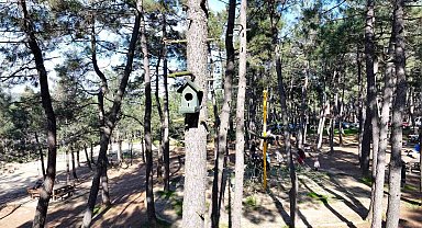 Ümraniye'de doğaya en güzel katkı: 'Kuş evleri'