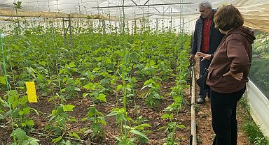 Üreticilere bitki sağlığı eğitimi verildi