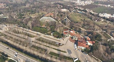 Uykusu kaçan ayılar, 9 kiloluk levrekleri afiyetle midelerine indirdi