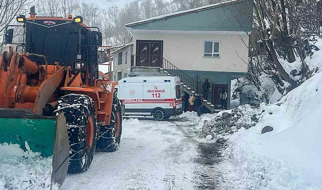Van'da hasta kurtarma operasyonu