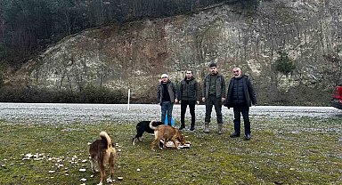 Vezirköprülü avcılar, yaban hayvanlarını besledi