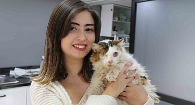 Yaralı kedi tek gözüyle hayvan severler sayesinde hayata tutundu