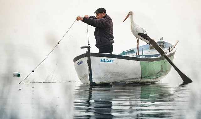 Yaren leylek için gözleri hem ufukta hem yuvada...