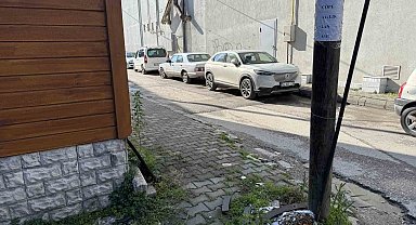 Yerlere çöp atanlara kızdı, sokaktaki direklere ve duvarlara bakın ne yazdı