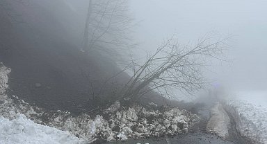 Yoğun kar Çam Dağı'nda heyelana sebep oldu