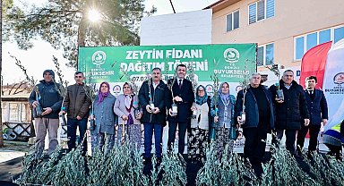 Zeytin fidanları toprakla buluşuyor, Denizli kazanıyor