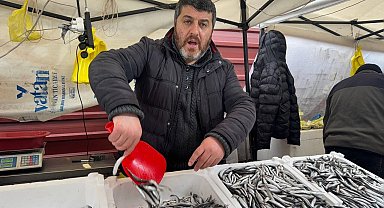 Zonguldak'ta hamsi 100 liradan alıcı buldu