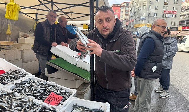 Zonguldak'ta istavrit tezgahları şenlendirdi
