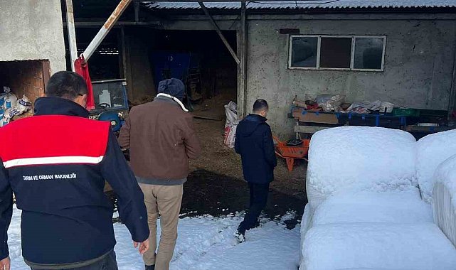 Zonguldak'ta şap nedeniyle bir köyde karantina uygulaması başlatıldı