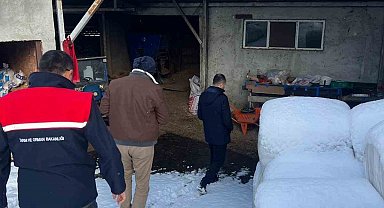 Zonguldak'ta şap nedeniyle bir köyde karantina uygulaması başlatıldı