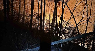 ABD'de orman yangını: 4 bin dönümden fazla alan yandı