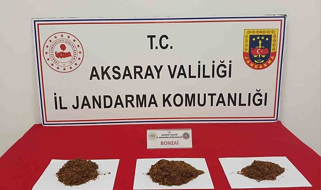 Aksaray'da bonzai ile yakalanan 2 şahıs tutuklandı