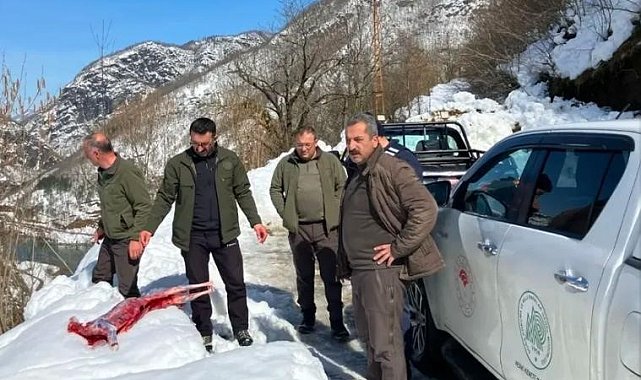 Artvin'de kaçak avcılar suçüstü yakalandı