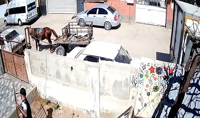 At arabasıyla geldi, demir korkuluğu alarak kayıplara karıştı