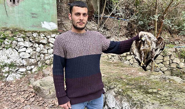 Avlanmak için balık dolu havuza dalan şahin telef oldu