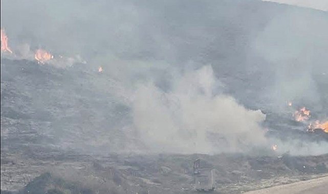 Avşa Adası'nda çıkan yangın kontrol altına alındı