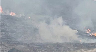 Avşa Adası'nda çıkan yangın kontrol altına alındı