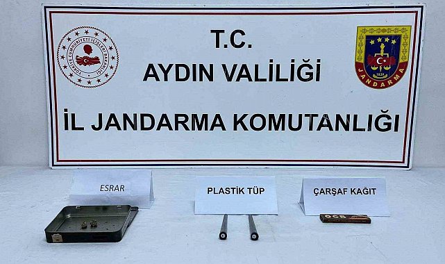 Aydın'da 30 şüpheli şahıs yakalandı