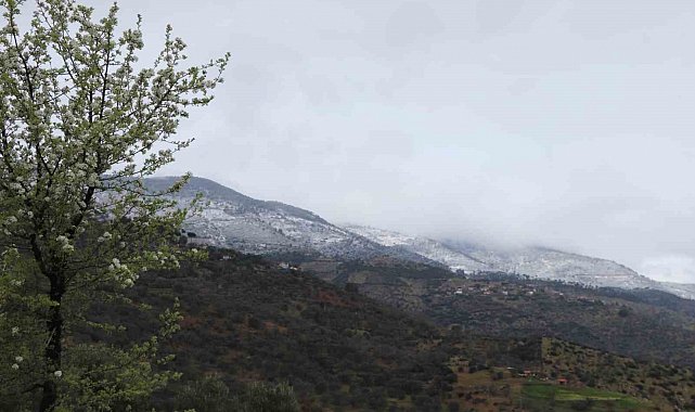 Aynı karede hem bahar, hem kış