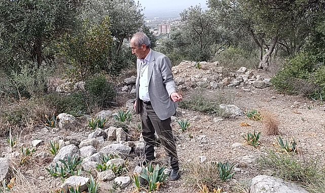 Bakımsız bebek mezarlığı tepkilere neden oluyor